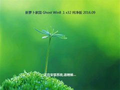 ܲ԰Ghost Win8.1 32λ  201609