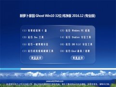 ܲ԰Ghost Win10 X32 Ƽ2016V12()