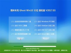 ľGhost Win10 (32λ) ׼װV201703(Լ)