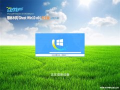 ľGhost Win10 x64 ȫרҵ V201903(輤)