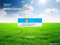 ľGhost Win10x86 רҵ v2019.04(Լ)