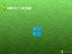 ƻϵͳwin11 64λ ⼤ǿv2024.04