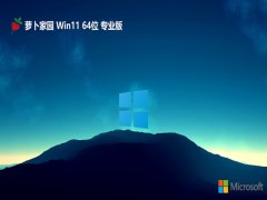 ܲ԰win11 64λͥv2024.04