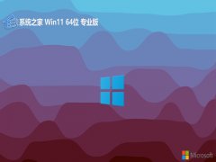 ϵͳ֮⼤win11 64λ޹v2024.05