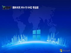 ľ64λwin10v2025.05