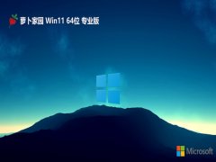 ܲ԰64λwin11ʼǱͳv2025.05