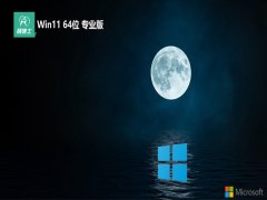ʿwin11 64λͥv2025.05⼤