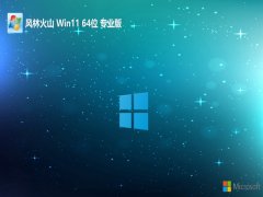 ֻɽwin11 64λŻv2025.05