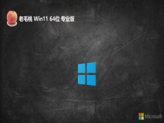 ëwin11ֱװ»64λv2025.05