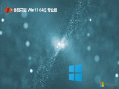 ѻ԰64λwin11ٰܳv2025.05