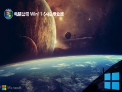 Թ˾win11 64λרðv2025.05
