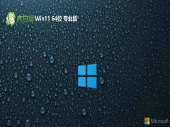 ײwin11ǿ64λv2025.05