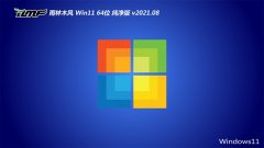 ľWindows11 64λ ʦ 2021.08