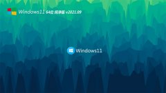 系统之家Windows11 64位 快速纯净版 2021.09