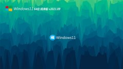 ϵͳ֮Windows11 64λ ٴ 2021.09